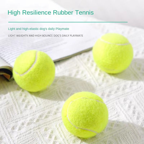 Dog Toy Rubber Elastic Tennis Ball Small and Medium sized Dog Bite Dog Toy - V.I.P Digital Presence