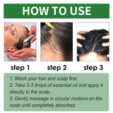 Rosemary Essential Oil, Repair Solid Hair Strong And Moisturizing Hair Roots Thick And Supple Hair Care Essential Oil - V.I.P Digital Presence