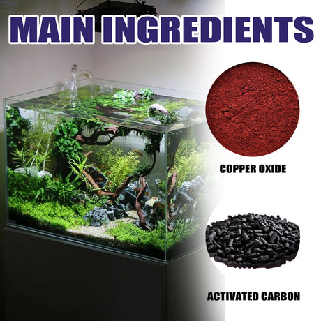 Dealgal Lichen, Aquarium Cleaning Agent Algae Removal Moss Fish Tank Moss Removal Agent Algae Removal From Green Water - V.I.P Digital Presence