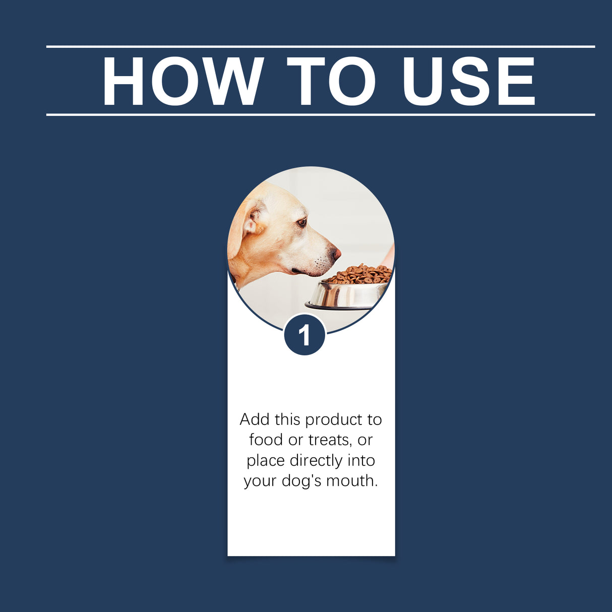 Food Supplement For Dogs, Immune-Boosting Healthy Dietary Supplement For Dogs - V.I.P Digital Presence