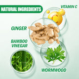 Mugwort Foot Patch, Ginger Mugwort Essence Removing Dampness Moist Foot Massage Care Foot Patch - V.I.P Digital Presence