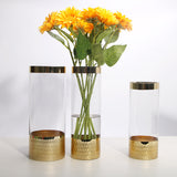 Glass vase modern transparent hydroponic flower vase home decoration ornaments - V.I.P Digital Presence