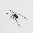 Plastic Spider as Decoration - Novelty Ornament - V.I.P Digital Presence