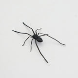 Plastic Spider as Decoration - Novelty Ornament - V.I.P Digital Presence