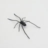 Plastic Spider as Decoration - Novelty Ornament - V.I.P Digital Presence