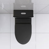 Matte Black Elongated One Piece Toilet Dual Flush 1.1/1.6 GPF Water Saving Map 1000g,Matte Black - V.I.P Digital Presence