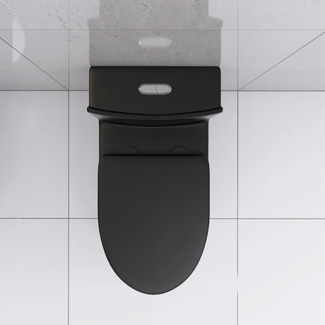 Matte Black Elongated One Piece Toilet Dual Flush 1.1/1.6 GPF Water Saving Map 1000g,Matte Black - V.I.P Digital Presence