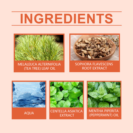 Kew Lotion Herbal Essence Gently Cleanses And Moisturizes The Body And Skin Care Lotion - V.I.P Digital Presence