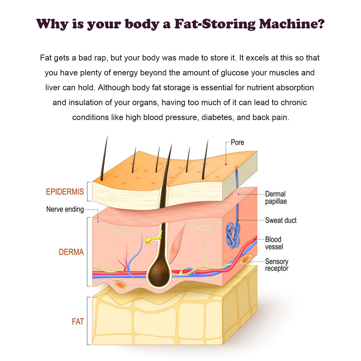 Slimming Pearl, Body Shaping Pill To Tighten The Abdomen And Moisturize The Body Skin Lazy And Beautiful Skin