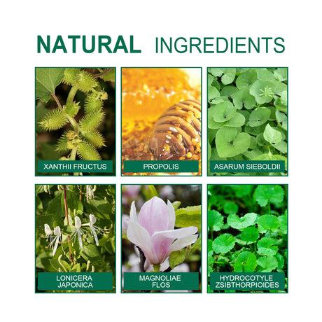 Organic Herbal Lung Cleanse Repair Patch, Relieve Nasal Discomfort Nasal Cleansing Repair Body Care - V.I.P Digital Presence