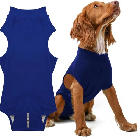 Pet sterilization suit wound anti licking suit suitable for all body types of dogs surgical recovery clothing set ﻿ - V.I.P Digital Presence