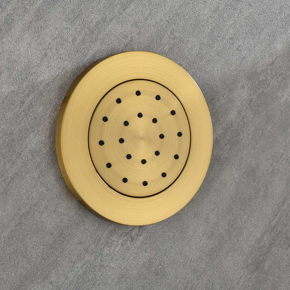Shower System with Shower Head  Hand Shower Slide Bar Bodysprays, Shower Arm  Hose Valve Trim  and Lever Handles - V.I.P Digital Presence