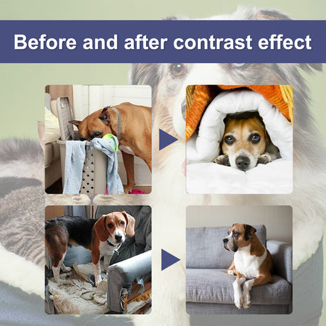 Pet Bitter Anti-Biting Spray, Prevent Dogs Chewing Table And Chair Legs, Scratching Sofa Spray - V.I.P Digital Presence