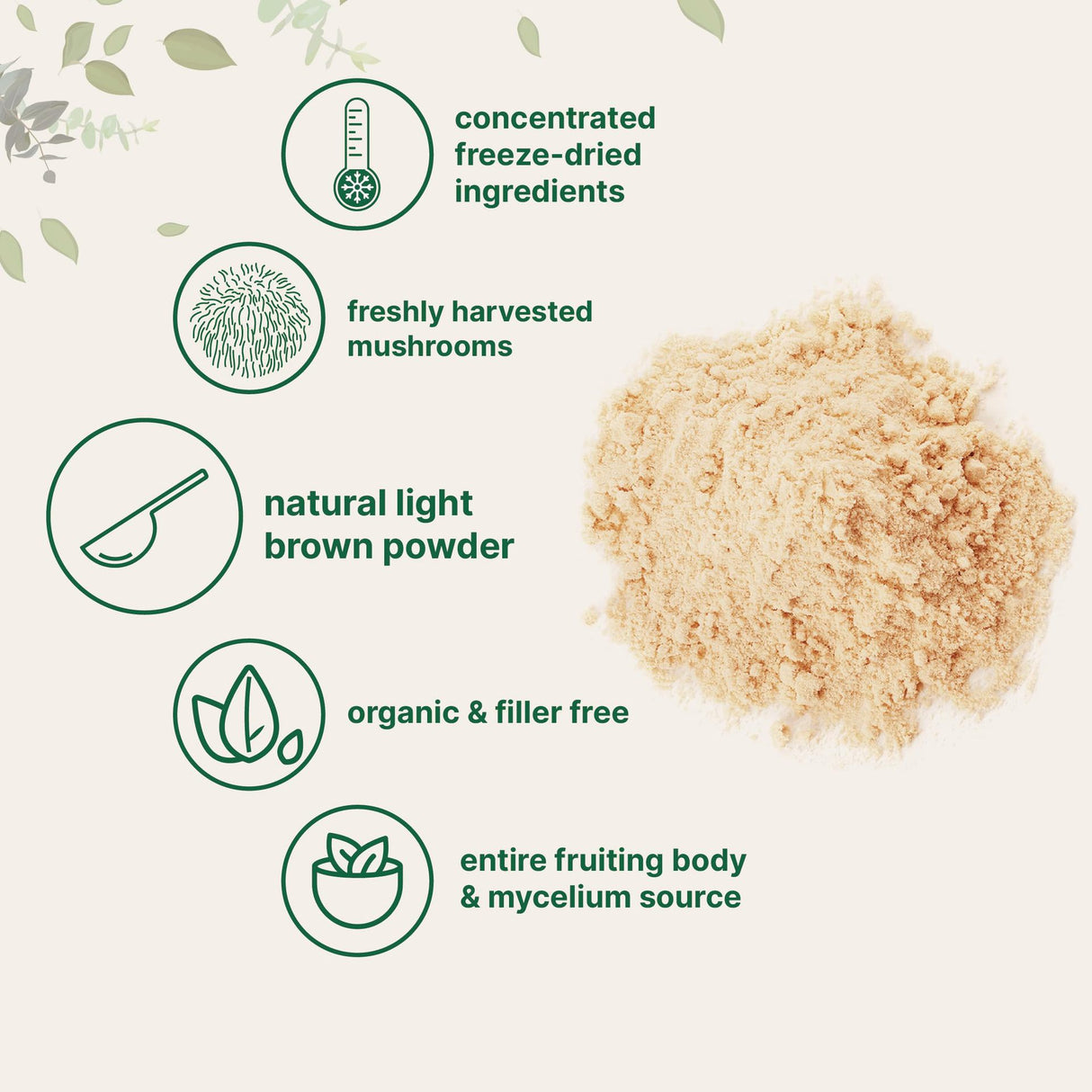 Lion mane mushroom powder Monkey head mushroom powder - V.I.P Digital Presence
