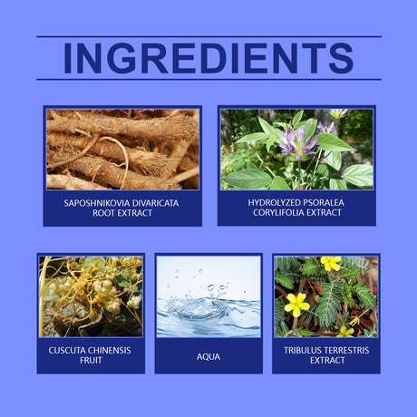 Skin Care Cream Equalizes Skin Tone, Moisturizes And Hydrates All Over The Skin - V.I.P Digital Presence