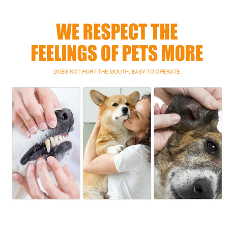 Pet Teeth Cleaning, Dog Cat Teeth Clean Tartar Stones Fresh Breath - V.I.P Digital Presence