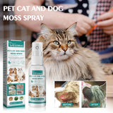 Pet Skin Medicine Spray, Cats And Dogs To Remove Mite Skin Itching To Remove Red Hair To Itch - V.I.P Digital Presence