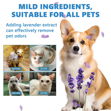 Pet Hair Daily Gentle Cleaning and Scented No-Rinse Care Essence for Cats and Dogs - V.I.P Digital Presence