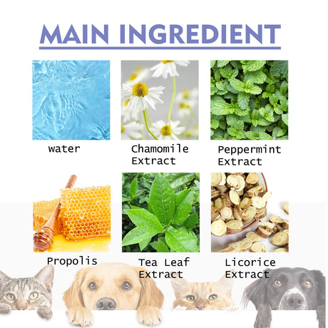 Dog And Cat Tooth Cleaning Spray, Pet Mouth Cleaning Breath Fresh Deodorizing Cleaning Spray - V.I.P Digital Presence