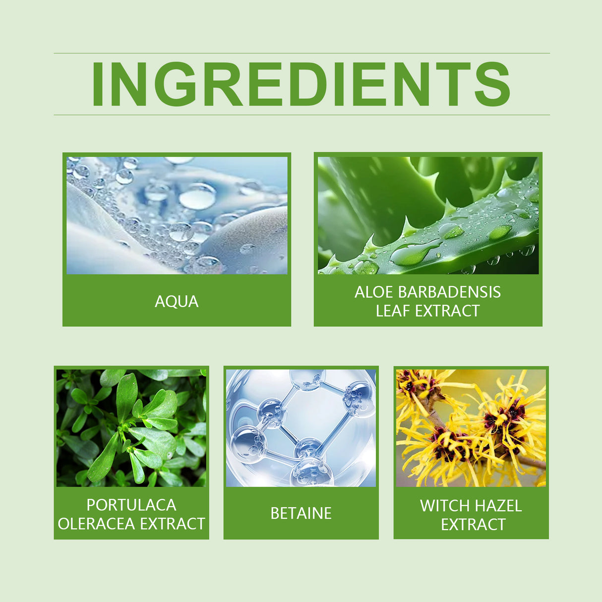 Purslane Soothing Repair Serum Redness Soothing Facial Hydrating Moisturizing Serum