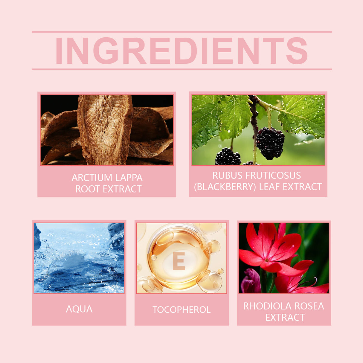 Progesterone Care Lotion Moisturizes, Nourishes, Eases And Improves Gently Moisturizes Skin And Body Balance Care Lotion - V.I.P Digital Presence