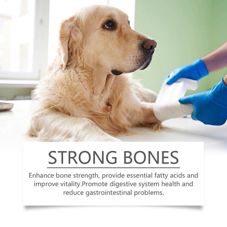 Dog Multi-Dimensional Fish Oil Tablet Pet Dog Hair Care Moisturize Skin Care Pet Health - V.I.P Digital Presence