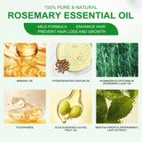 Rosemary Essential Oil Hydrates And Moisturizes Damaged Hair, Strengthens Hair And Softens Hair Care Essential Oil - V.I.P Digital Presence