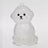 A transparent DIY pet hair memorial keychain box, a sweet keepsake for dog lovers. - V.I.P Digital Presence