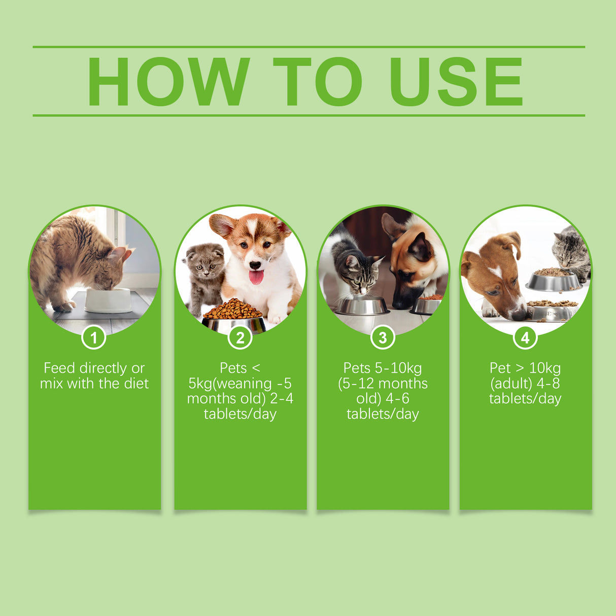 Pet Probiotic Tablets Improve Gut Health And Promote Nutritional Absorption Of Pet Care Supplements - V.I.P Digital Presence