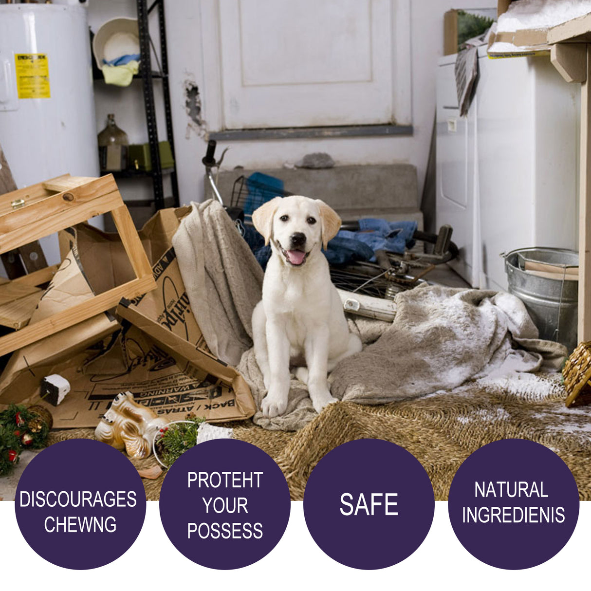 Anti-Chewing Bitter Spray For Pets, Prevent Dogs Tearing Apart Homes Scratching And Biting Long-Lasting Indoor Repellent Spray - V.I.P Digital Presence