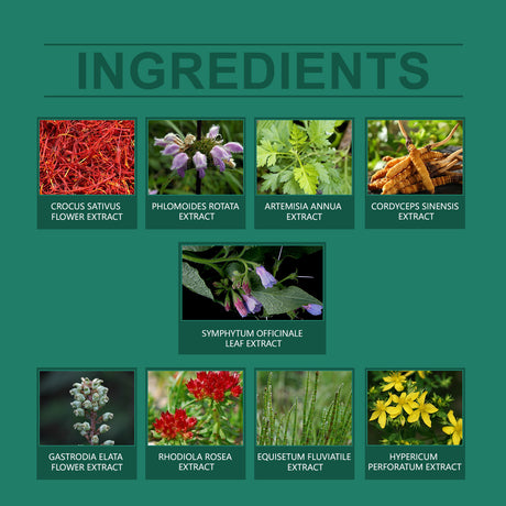 Joint Plant Cream Rub Rub Knee Soothing Body Skin Herbal Cream - V.I.P Digital Presence