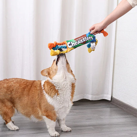 Puppy Dogs Toys Puppy colorful Cotton Chew Rope Knot Toy Durable Braided Dog Toys Dog Cleaning Teeth Braided Bone Rope - V.I.P Digital Presence