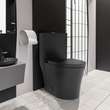Matte Black Elongated One Piece Toilet Dual Flush 1.1/1.6 GPF Water Saving Map 1000g,Matte Black - V.I.P Digital Presence