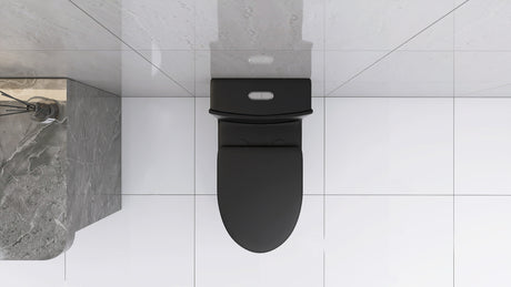 Matte Black Elongated One Piece Toilet Dual Flush 1.1/1.6 GPF Water Saving Map 1000g,Matte Black - V.I.P Digital Presence