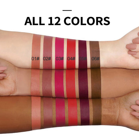 HANDAIYAN Popular Matte Matte Velvet 12 Colors Lip Gloss Liquid Lipstick Lip Glaze - V.I.P Digital Presence