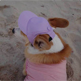 Pet Dog Outdoor Photography Leisure Sunshade Hat with Ear Holes Adjustable Corgi Baseball Cap - V.I.P Digital Presence