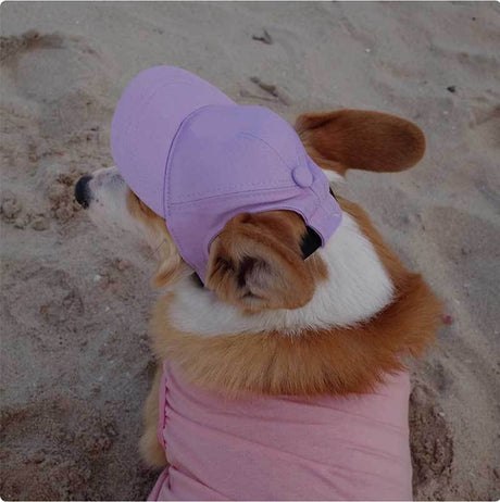 Pet Dog Outdoor Photography Leisure Sunshade Hat with Ear Holes Adjustable Corgi Baseball Cap - V.I.P Digital Presence