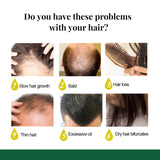 Ginger Hair Spray, Strengthens Hair, Massages Scalp And Restores Hair - V.I.P Digital Presence