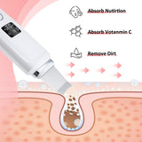 Hailicare Facial Ultrasonic Iontophoresis Export Skin Scraper LED LCD Screen Skin Scrubber - V.I.P Digital Presence