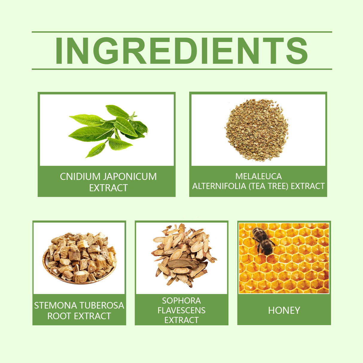 Honey Sugar Soothing Care Patch For The Elderly Body Care To Relieve Discomfort Sugar Soothing Care Patch - V.I.P Digital Presence