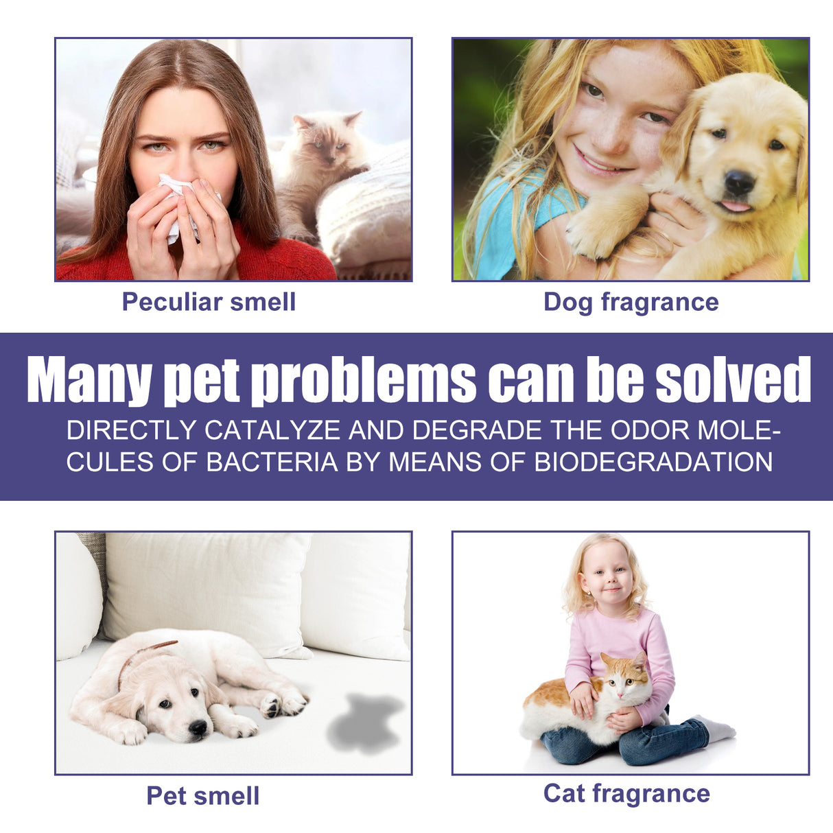 Pet Deodorant Spray To Remove Odors, Dogs And Cats To Remove Urine Odor Body Odor Feces Smell Clean Air - V.I.P Digital Presence