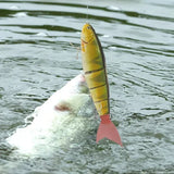 Swimbait Balam 23cm Lure Madness Giant Bait Balam Lure for Big Bait Bass Catfish Hard Lures Giant Baits Big Pike Jointed Lures - V.I.P Digital Presence