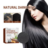 Polykum Multiflorum Repair Shampoo Natural Black Hair Moisturizing And Smoothing Shampoo - V.I.P Digital Presence