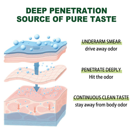 Armpit Deodorant Cream, Clean And Refreshing Deodorant Deodorant Care Cream For Deodorant Deodorant - V.I.P Digital Presence