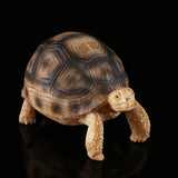Turtle fish tank shaped handicraft resin ornaments - V.I.P Digital Presence