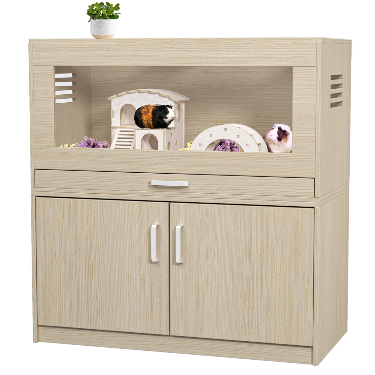 Squirrel cage acrylic panel with independent storage cabinet and wooden guinea pig room with bridge (L 31.50 x W 15.75 x H32.28) - V.I.P Digital Presence