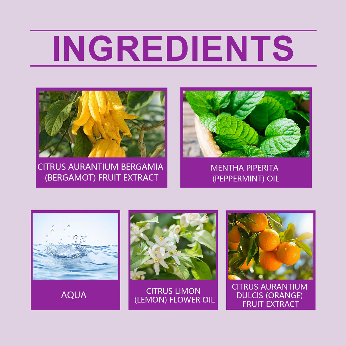 Refreshing Citrus Summer Perfume With Light Fragrance Charm Exudes A Refreshing And Long-Lasting Fragrance Spray - V.I.P Digital Presence