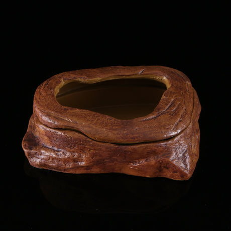 Water grass landscaping pet turtle food basin fish tank ornaments - V.I.P Digital Presence