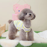 Teddy Schnauzer Pocket Tank Top - V.I.P Digital Presence