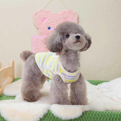 Teddy Schnauzer Pocket Tank Top - V.I.P Digital Presence